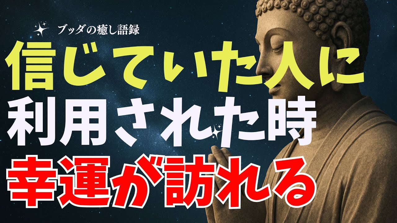【因果応報】信じていた人に利用された時、最高の幸運が訪れる理由。ブッダが説く「奪われた分だけ徳が貯まる」仕組み