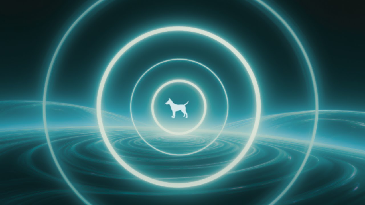 432 Hz Peace Field for Dogs – Emotional Ease (8 Hours)