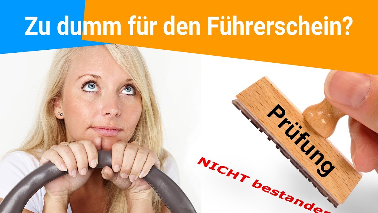Zu dumm für den Führerschein?