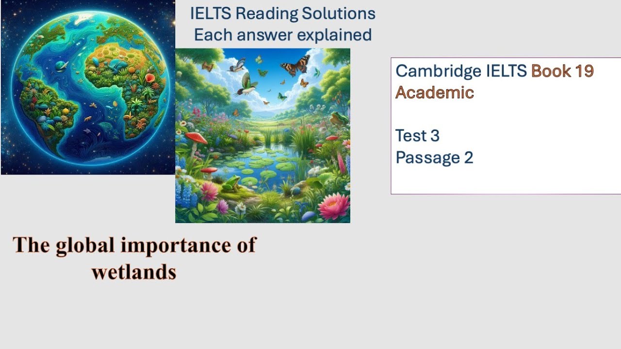 Cambridge IELTS 19 Reading Test 3 Passage 2 | Step-by-Step Answers & Strategies
