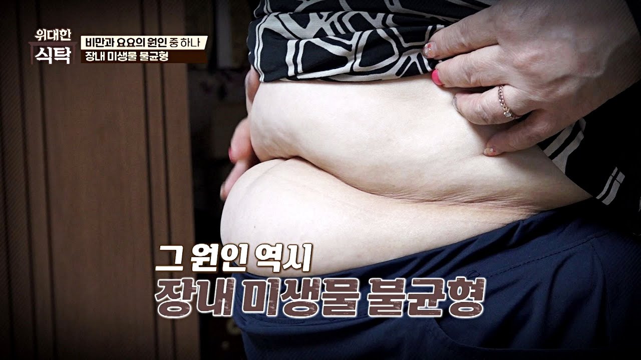 노력해도 빠지지 않는 살, '장내 미생물 불균형'이 원인?! | 위대한 식탁 108회 | JTBC 240302 방송