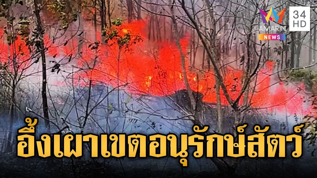 ไม่สนสี่สนแปด !! เขมรเผาป่าลามเขตอนุรักษ์สัตว์ | ข่าวอรุณอมรินทร์ | 26/02/69