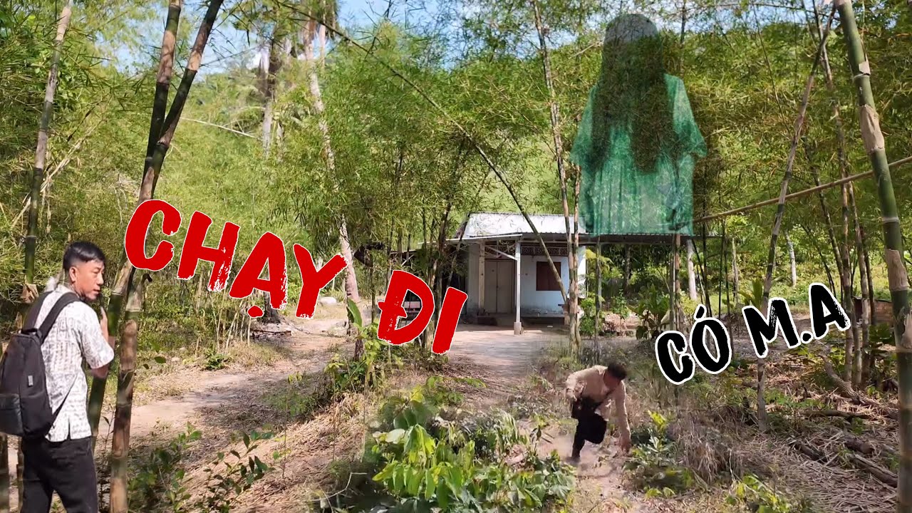 R&ugrave;ng Rợn tiếp cận c&acirc;n nh&agrave; c&oacute; tiếng r&ecirc;n b&iacute; ẩn v&agrave;o giữa trưa nằm s&acirc;u trong rừng n&uacute;i 