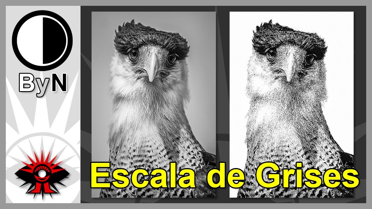 02 - Escala de Grises y conceptos de Brillo y Contraste en la imagen.