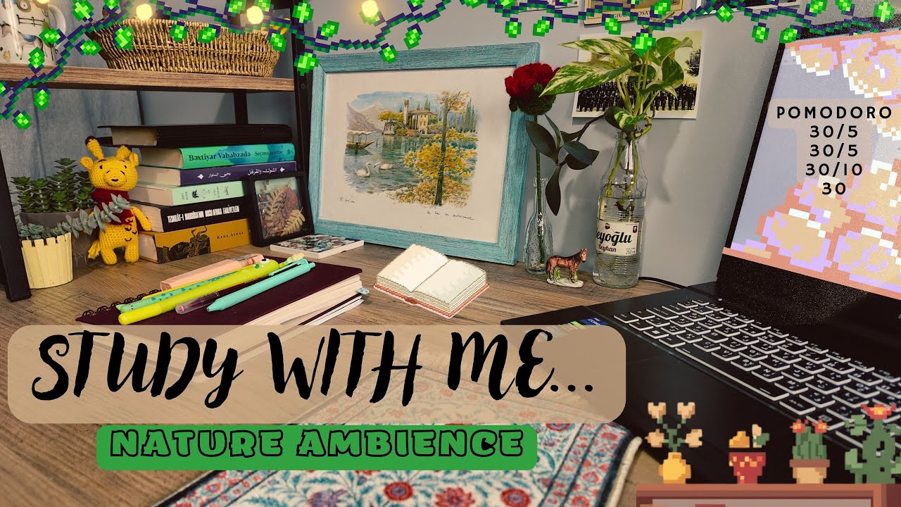 2.30 Hours Study With Me ✨ Pomodoro (30/5 • 30/5 • 30/10 • 30) ASMR Nature Ambience 🌿 • No Music