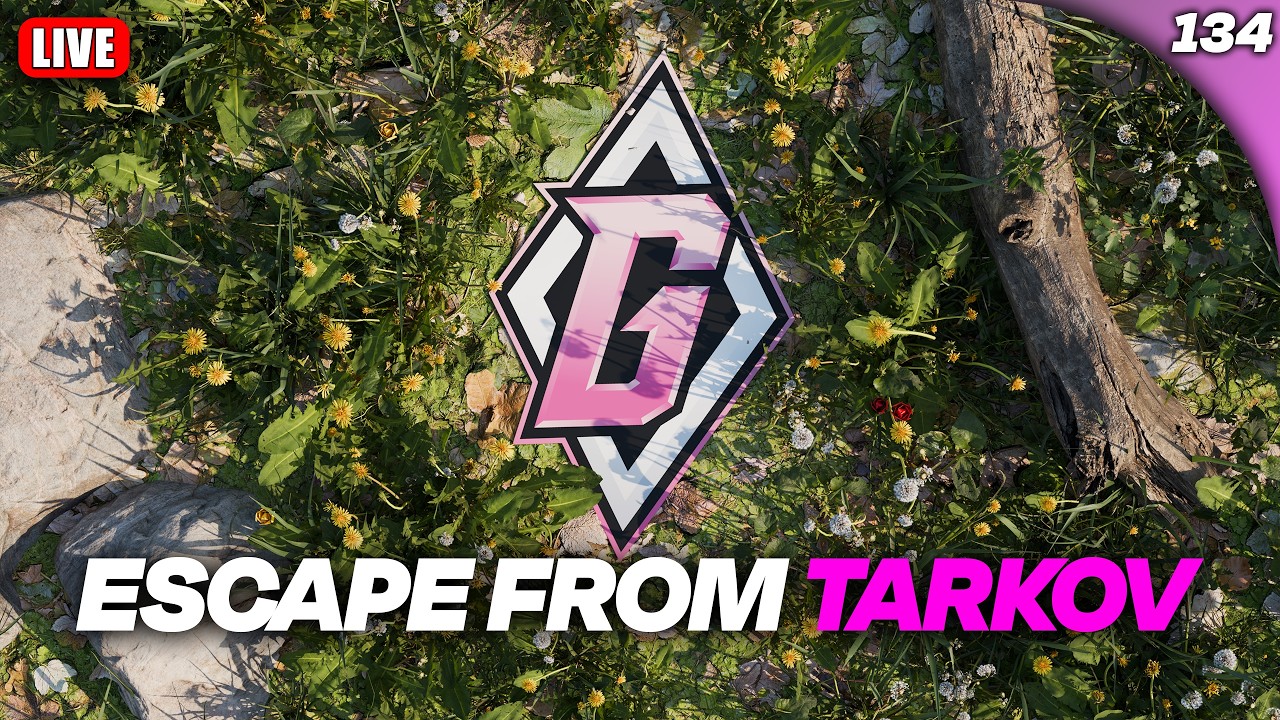 🌸Chill Vibes | Tarkov🌸