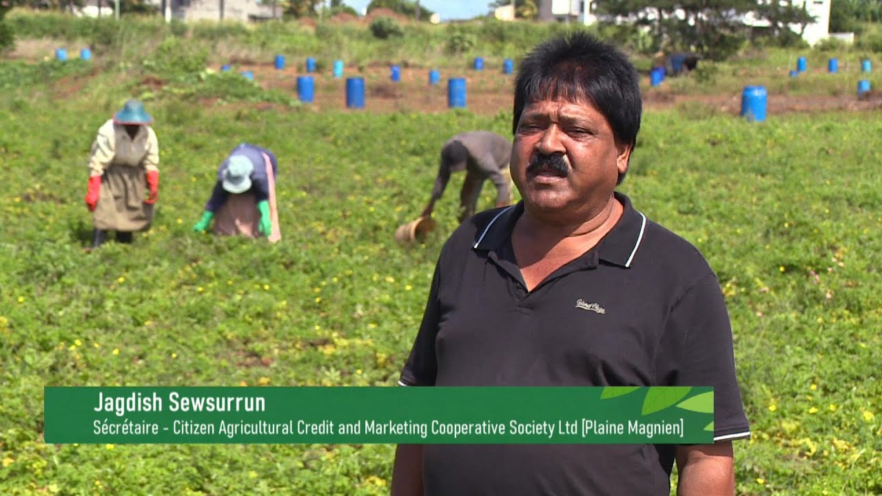 Paroles Agricoles - Cooperative Plaine Magnien