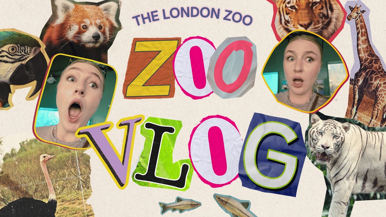 Face to Face with The World's Largest Spiders at The London Zoo
