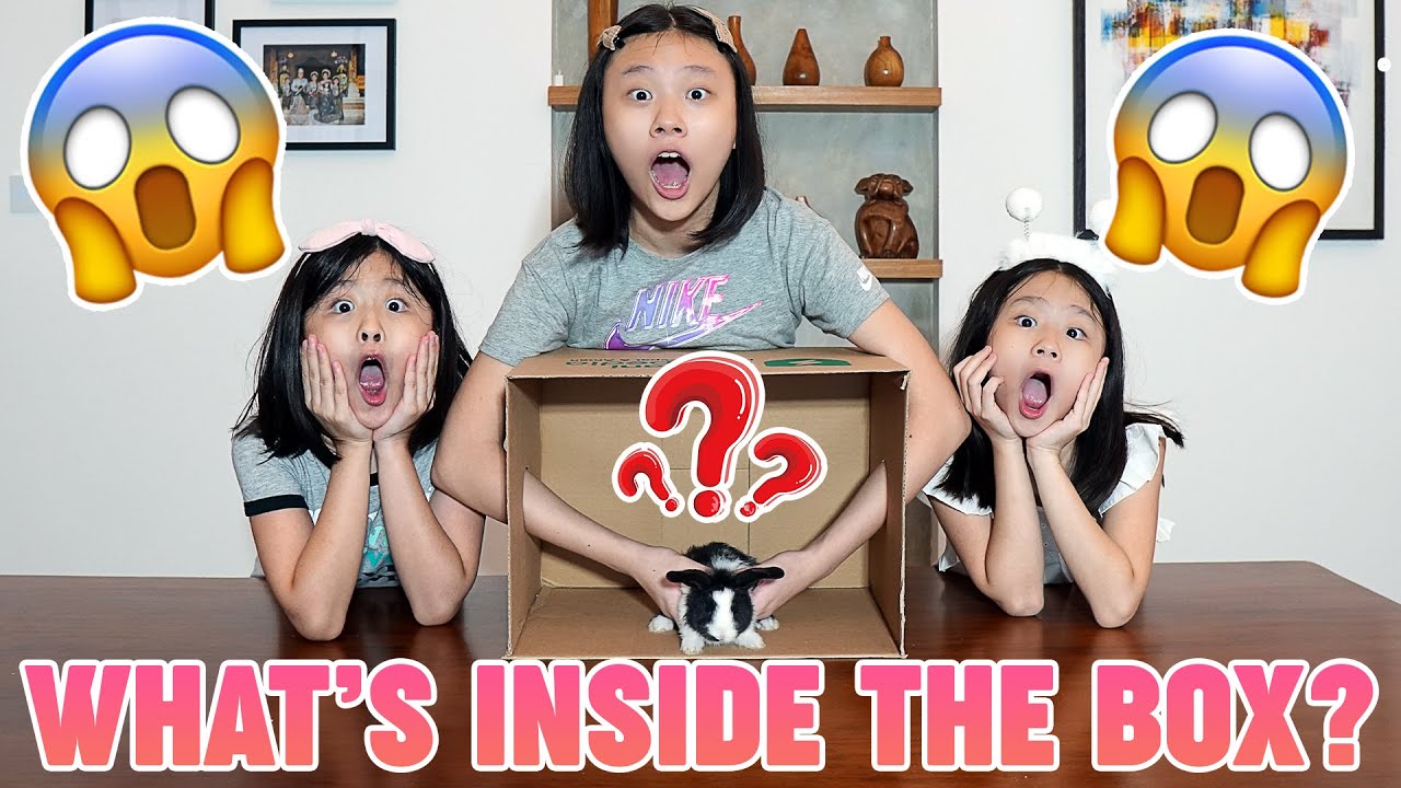 WHAT'S IN THE BOX WINS IDR 500.000 w/ GWEN KATE FAYE