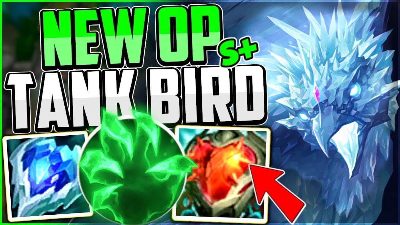 CHIM  TRẮNG  MỒ CÔI- ANIVIA  TANK