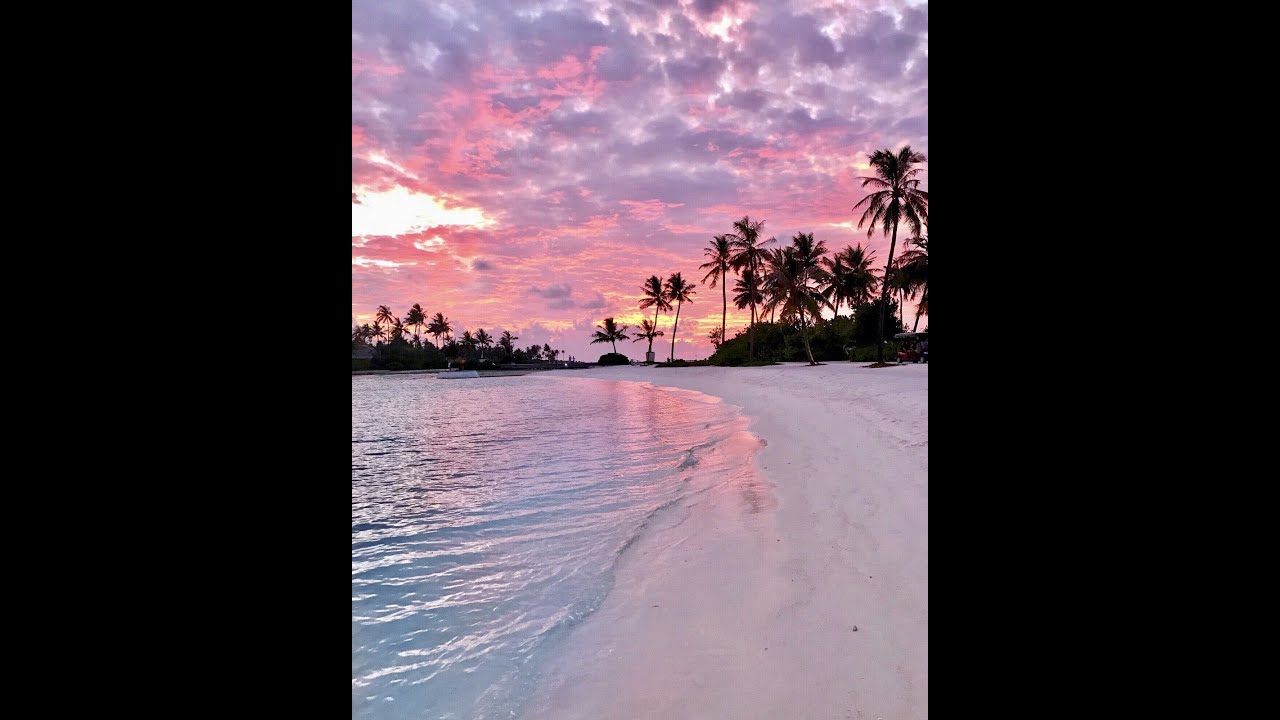 (FREE) Playboi Carti x Adrian x Pierre Bourne Type Beat 