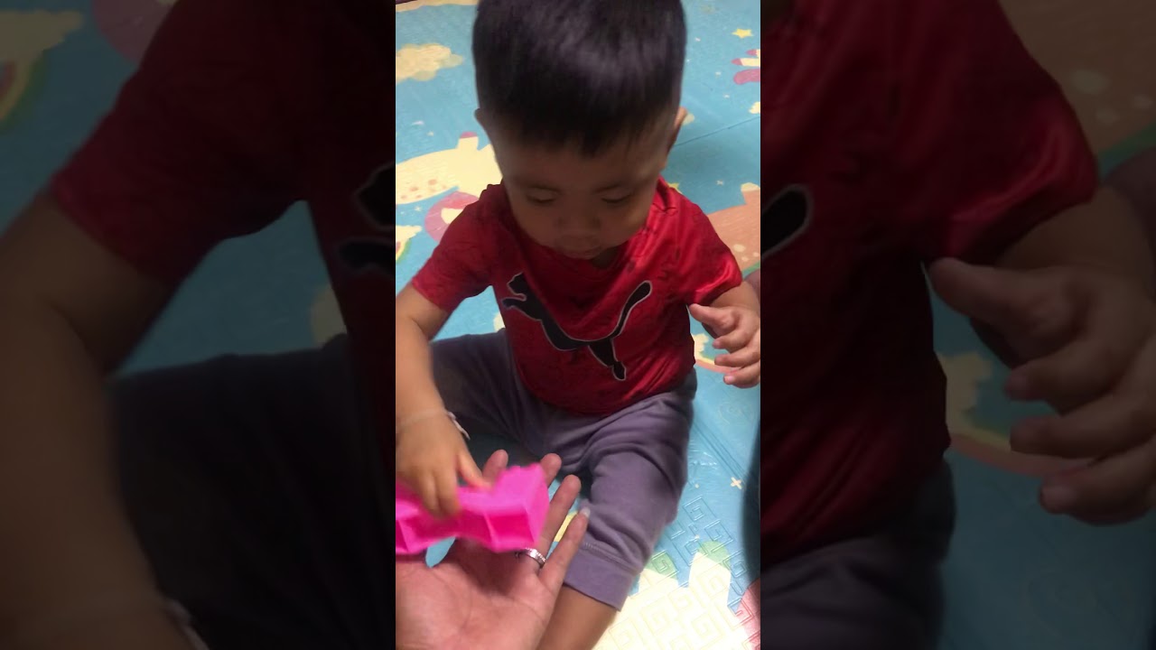 Ratton is Playing toy with dad.