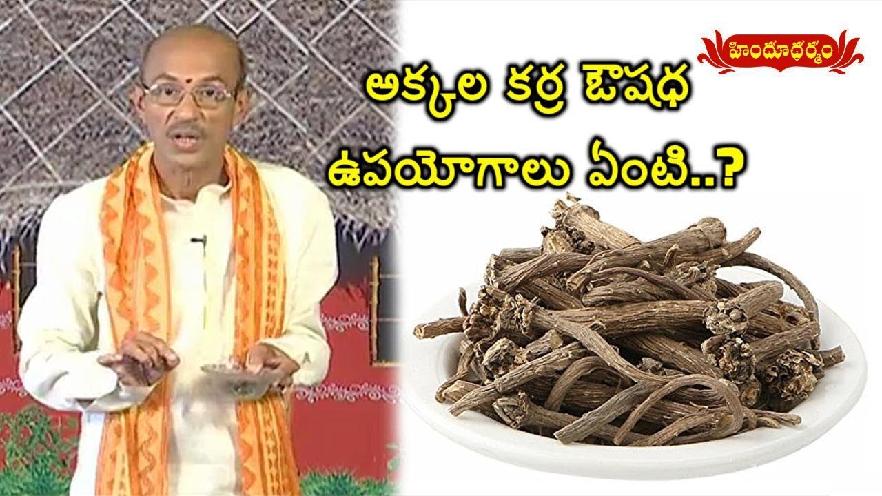 క్రిమి దంత చికిత్స చేసే అక్కల కర్ర! | Various uses of Pellitory Herb | Veda Vaidhyam | Hindu Dharmam