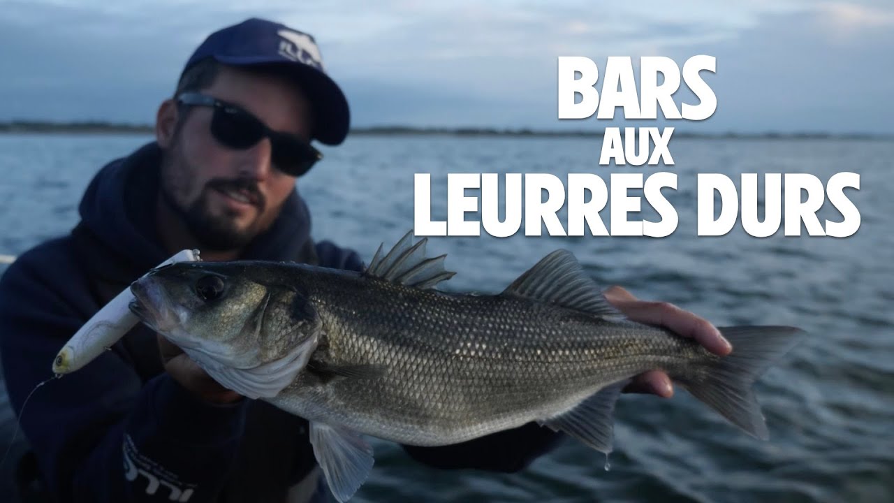 BARS aux leurres durs !!! Grosse session en Normandie feat. Gael Even