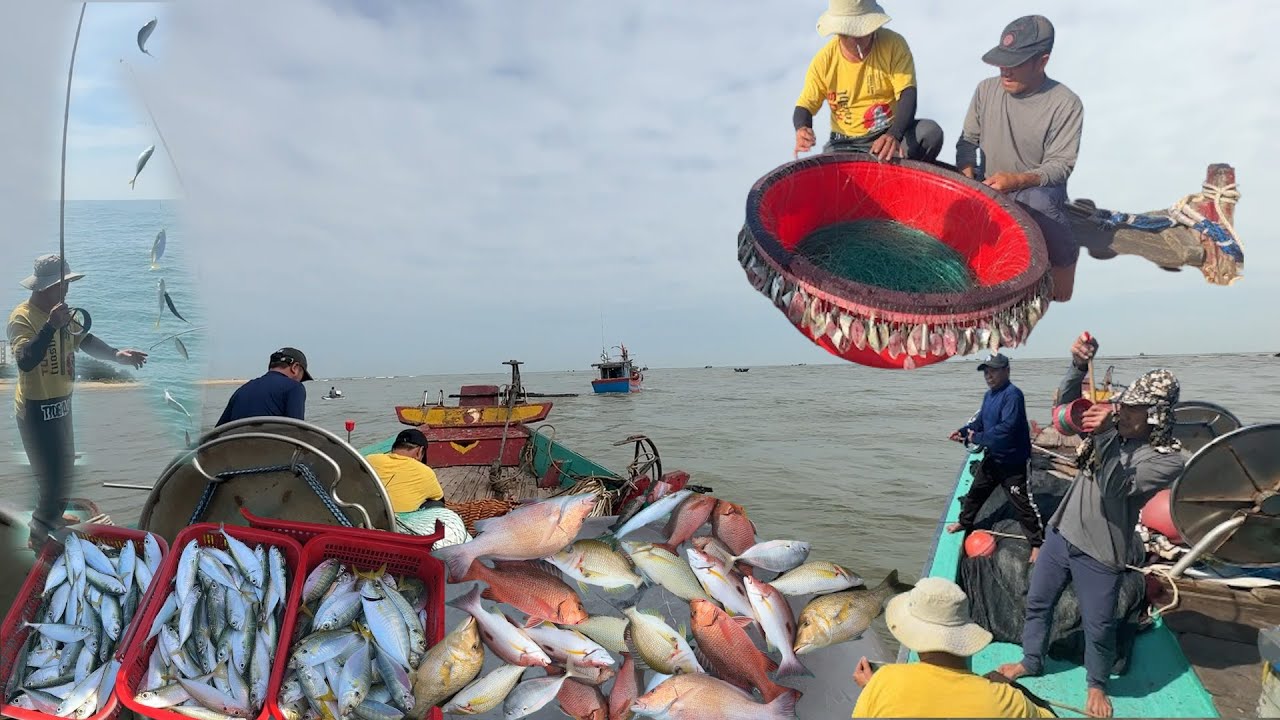 Thuyền chú lớn ra khơi đến chà câu cá ngân kiếm mồi chiều lại ghé điểm bủa câu cá rạng - Dân Biển