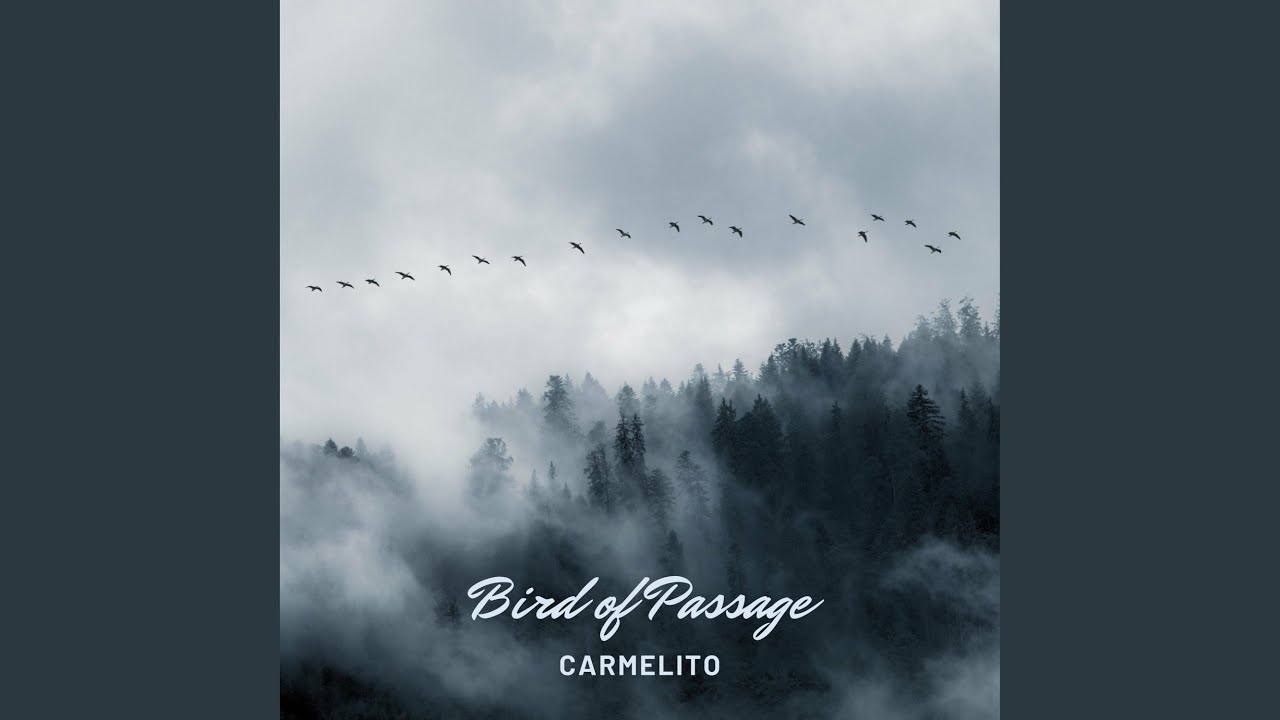 Bird of Passage