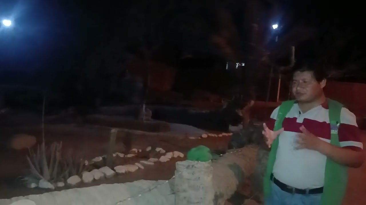 LA PALMERA DE SIETE CABEZAS