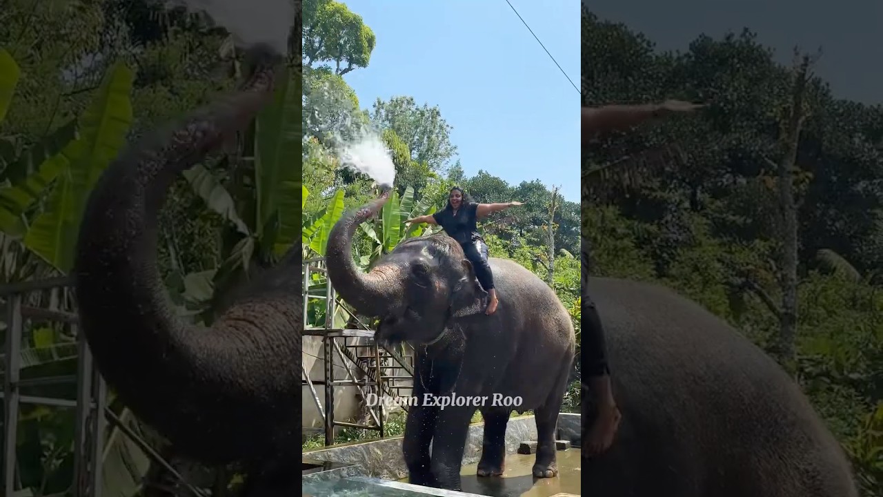 💥Must do activity in Thekkady⁉️🥳 #travel #love