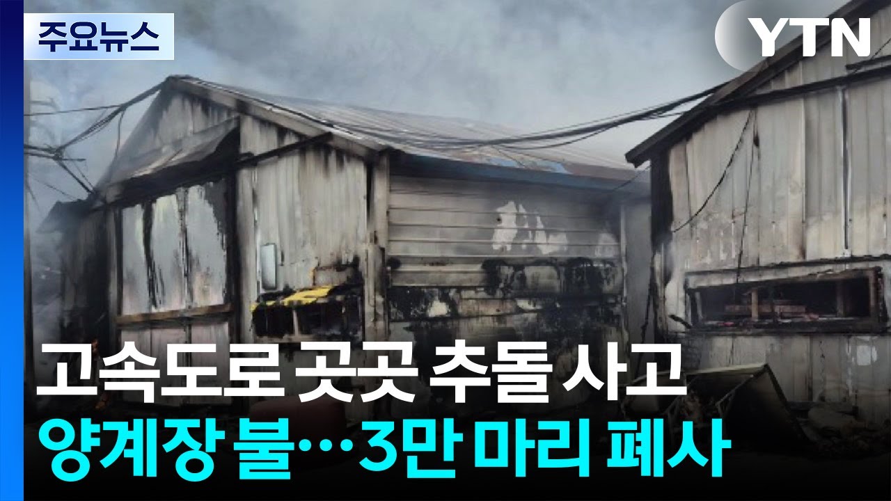 고속도로 곳곳 추돌...양계장 불타 3만 마리 폐사 / YTN