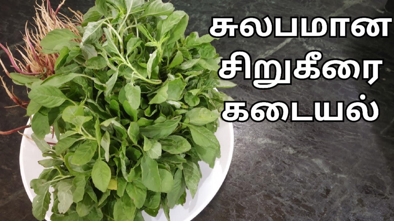 சிறுகீரை கடையல்|Sirukeerai Kadayal Recipe in Tamil|Sirukeerai Masiyal Recipe|Keerai Kadayal|KFS|22