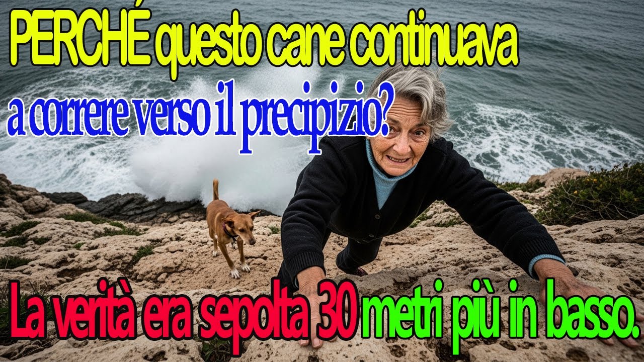 Credeva fosse un cane pazzo, ma era una madre che chiedeva aiuto per i suoi cuccioli.