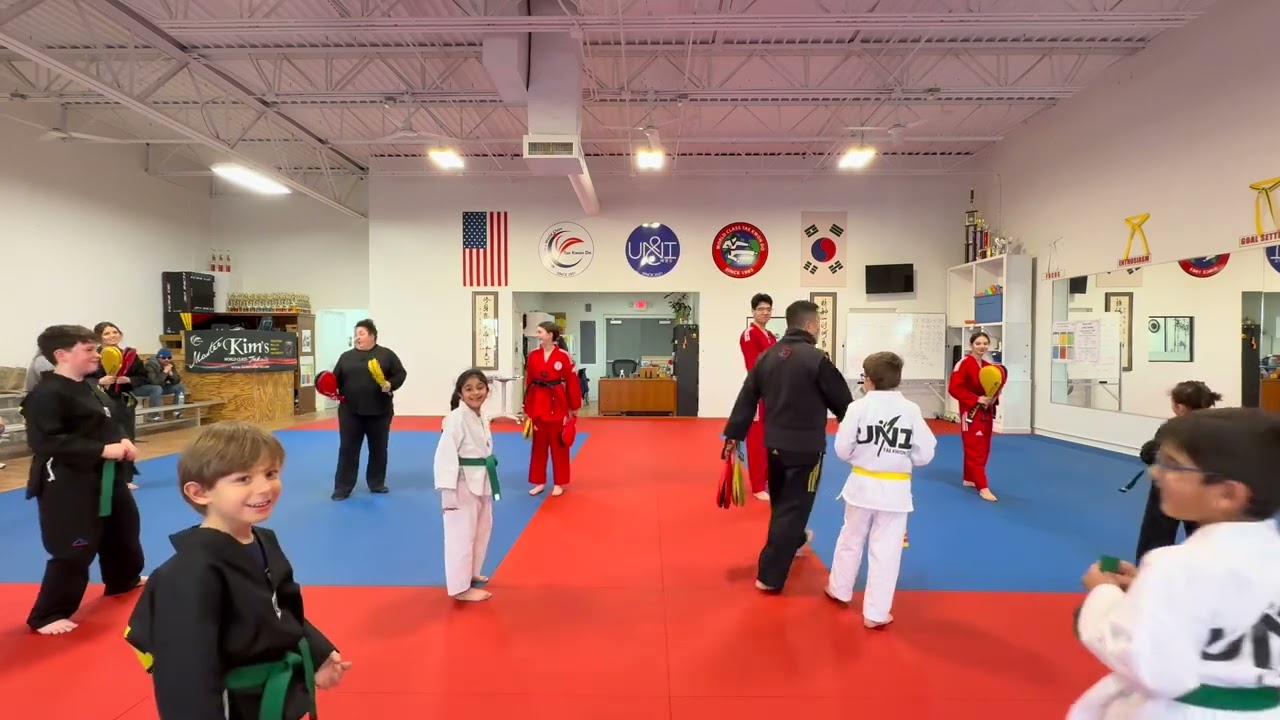 DST 1.2.3.4 Y/G Belt (MK)1.15.26