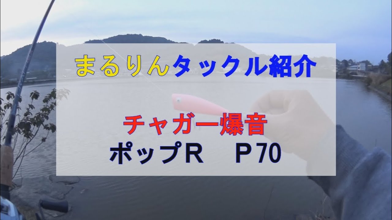 ポッパーは音が命！ド派手なチャガー音でバスを寄せる？散らす？　バス釣り中のハプニング