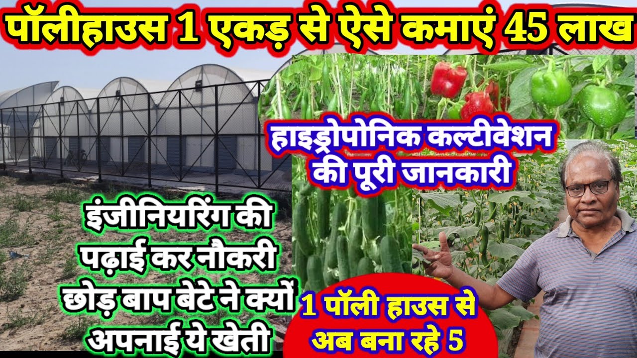 Hydroponic cultivation in poly house: पॉलीहाउस में खीरा, शिमला मिर्च की खेती से कमाए 45 लाख