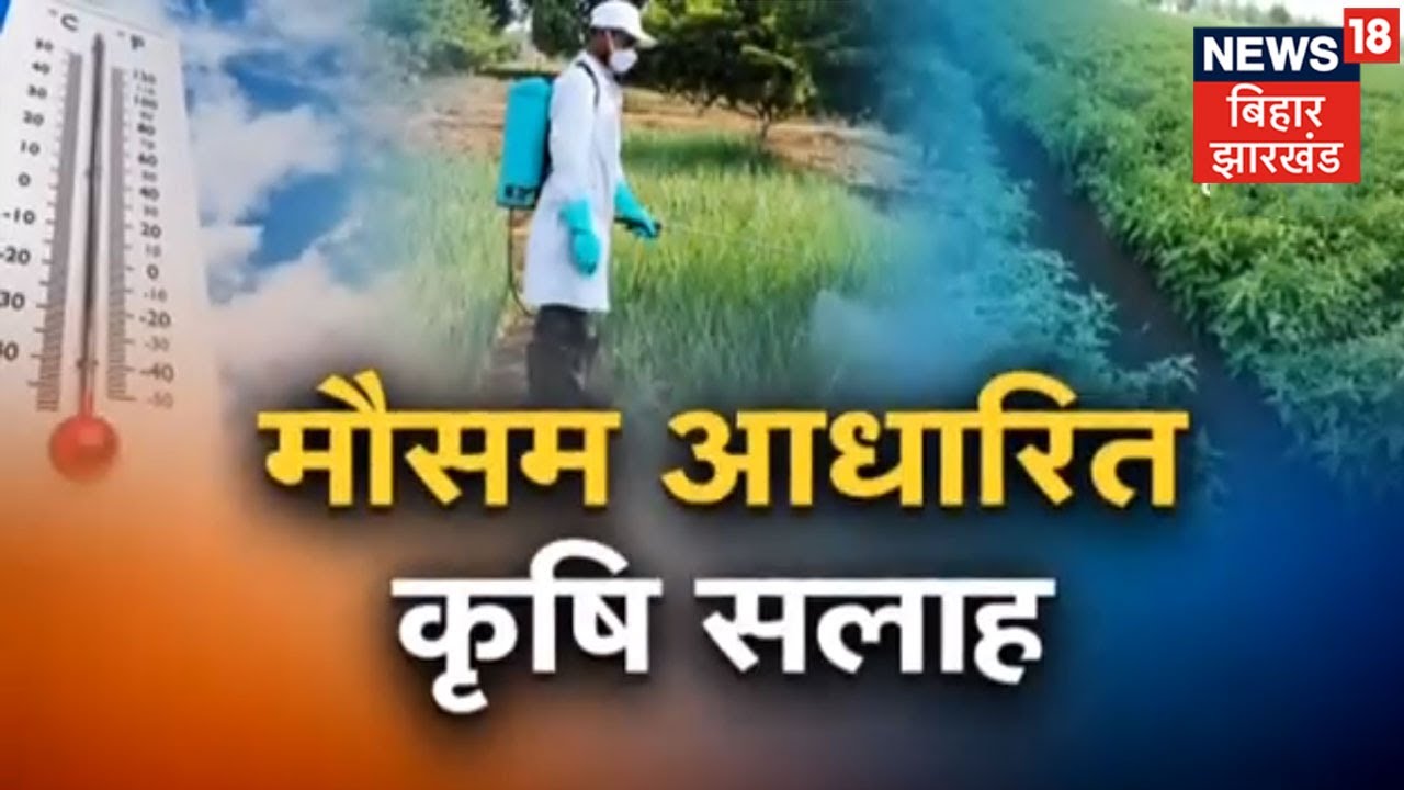 Climate And Farming | Bihar के लिए मौसम आधारित कृषि सलाह | Hindi News | Annadata
