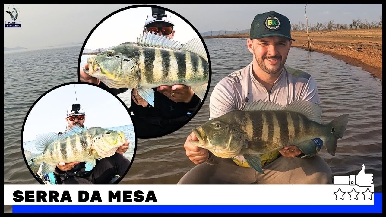 SÓ SAIU BITELO EM SERRA DA MESA GO #pescaria