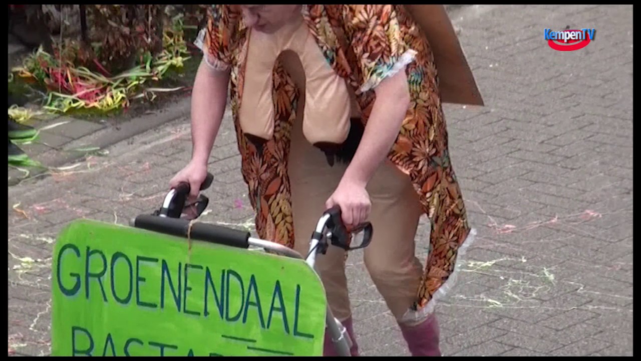 2017 februari Carnaval Optocht Casteren