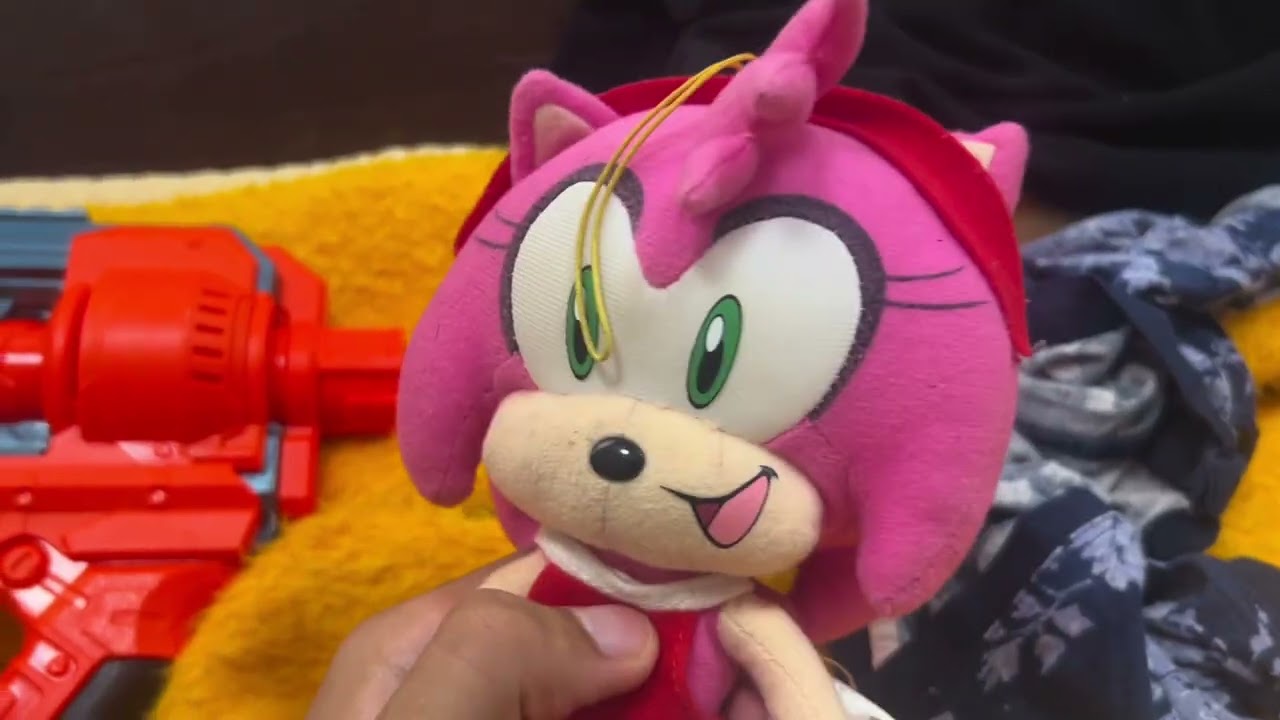 Amy’s Plan