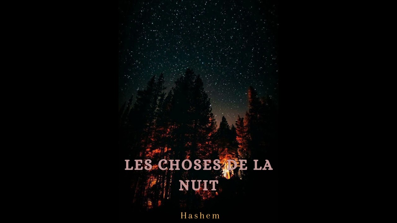 LES CHOSES DE LA NUIT