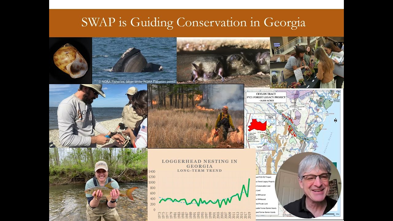 Georgia's 2025 State Wildlife Action Plan Draft