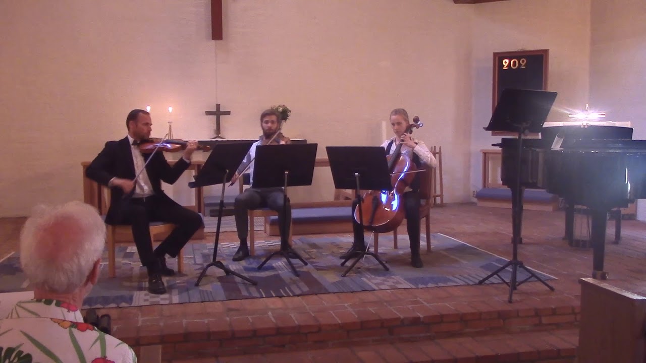 Bach Preludium D major string trio BWV 925