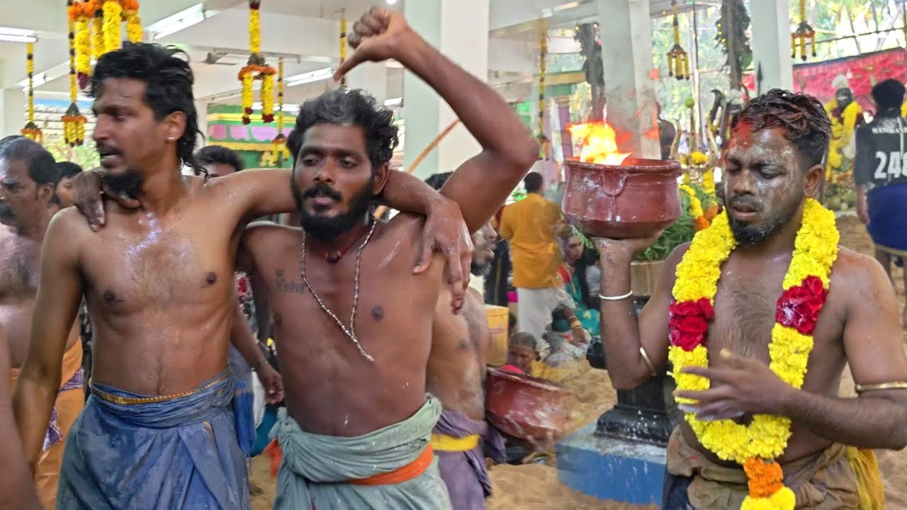 உச்சினிமாகாளி அம்மன், மாரியம்மன் பூஜை | வேதாளை,பலவேச சேர்வைகாரன் ஆவேச ஆட்டம் | சாமி அழைப்பு
