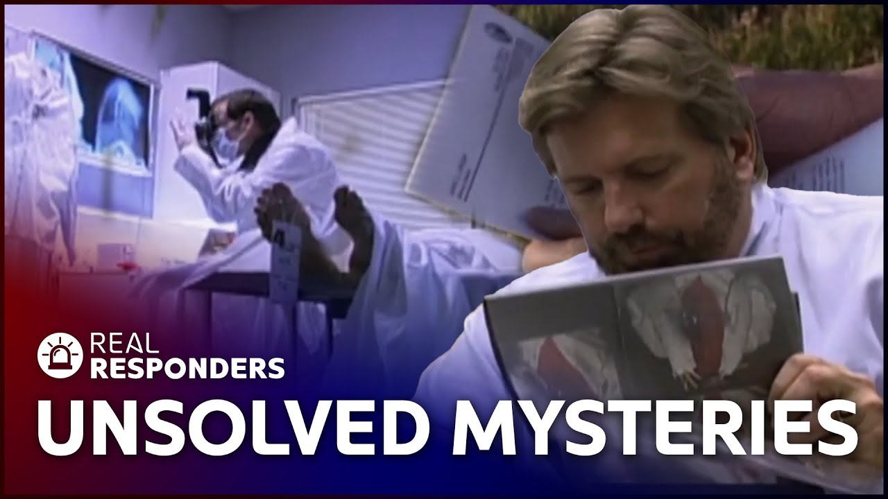Ending Unsolved Mysteries: How Forensic Evidence Changes Everything