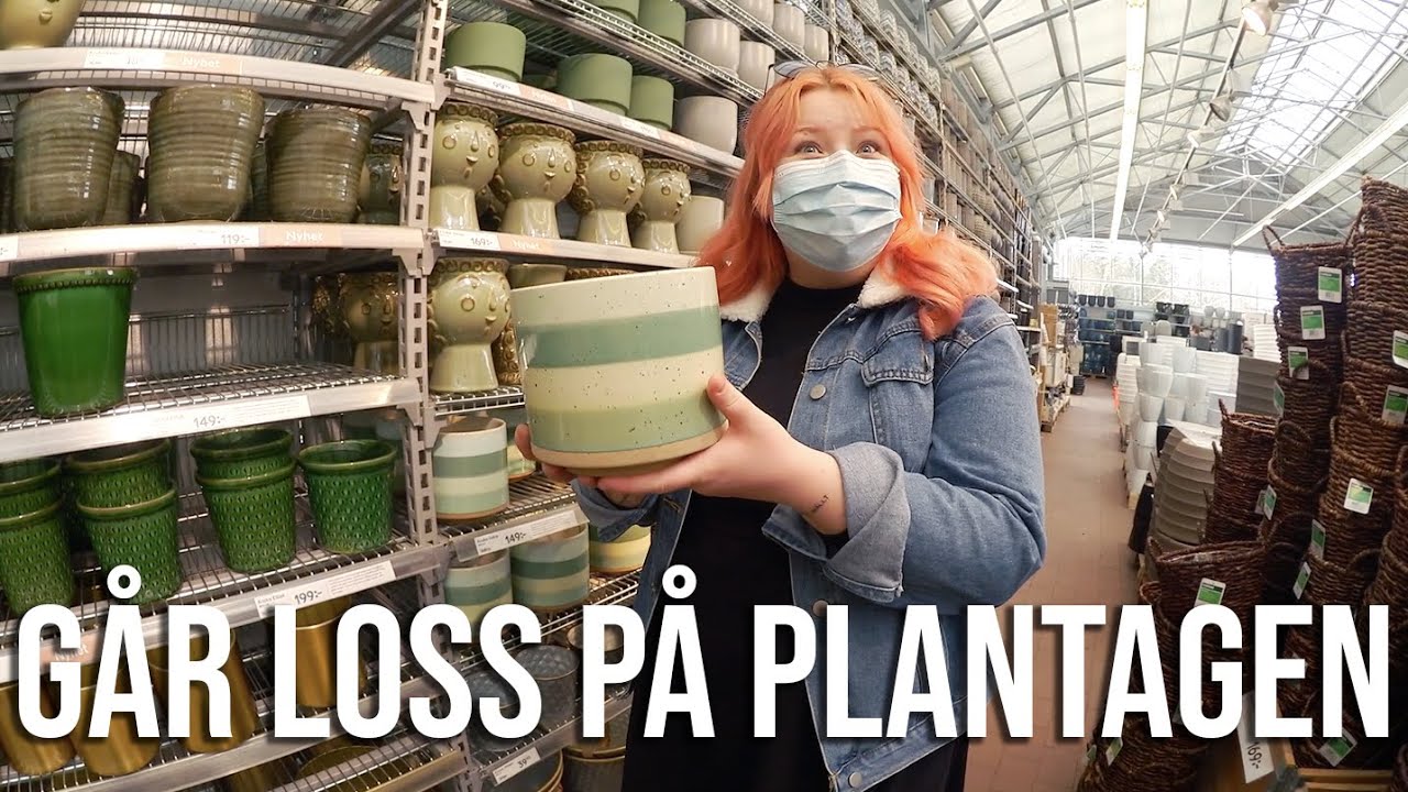 BARA EN MASSA PLANTOR | vlogg