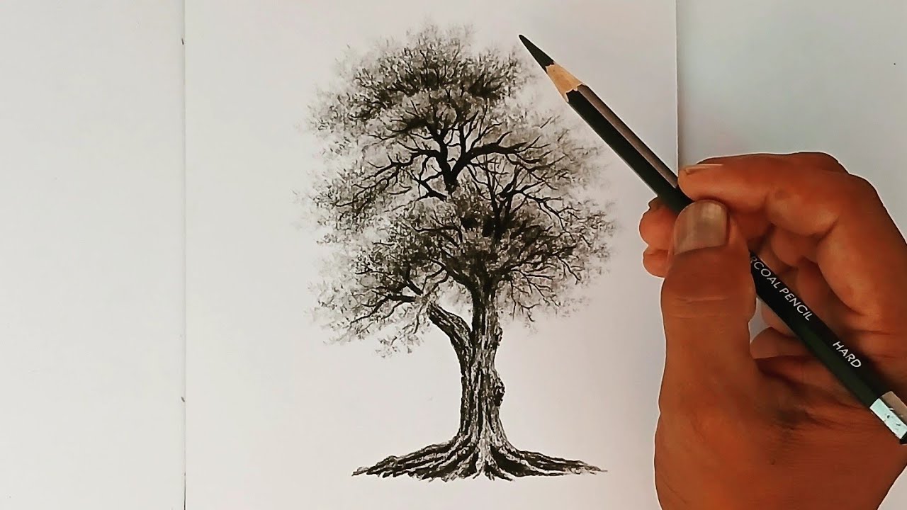 How to draw a tree by pencil with simple way.