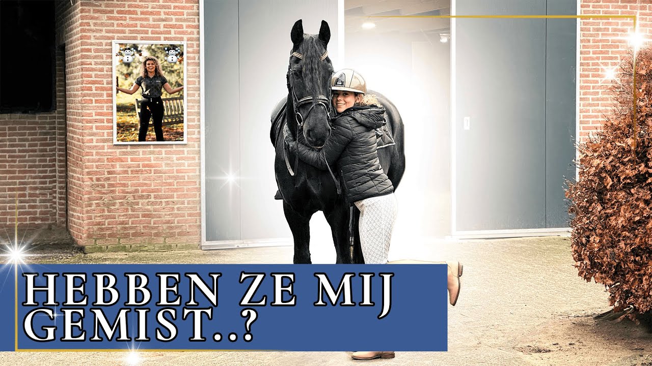 HERENIGD met mijn PAARDEN na mijn VAKANTIE!✈️ | PaardenpraatTV