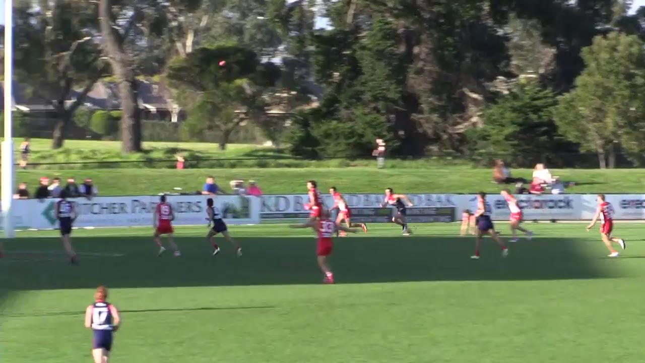 Sydney Swans Live Stream