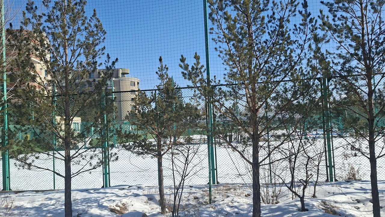🤍SUNNYDaY🤍(-12'C) #mongolia #winter 