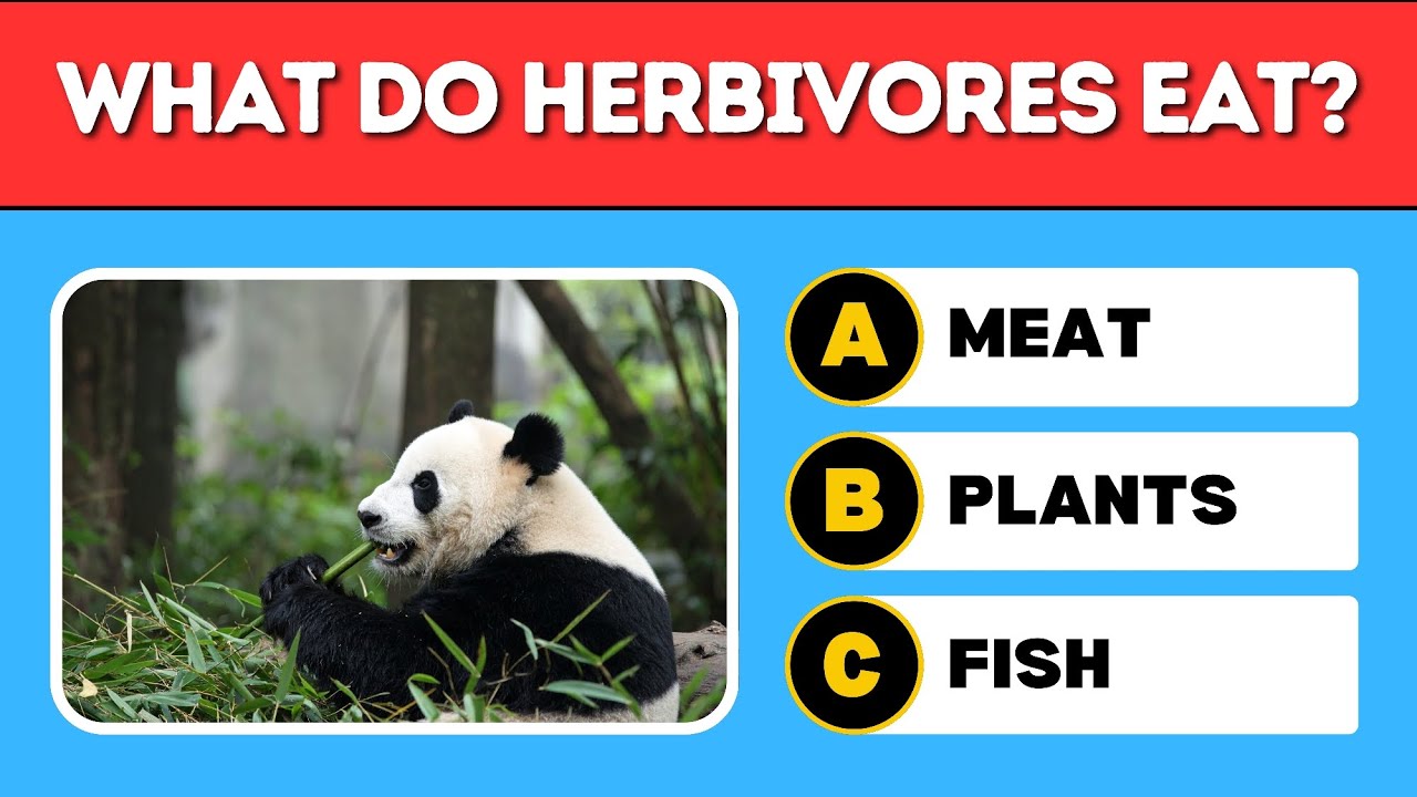 Guess and Learn 60 General Biology Questions | Biology Quiz 🧬