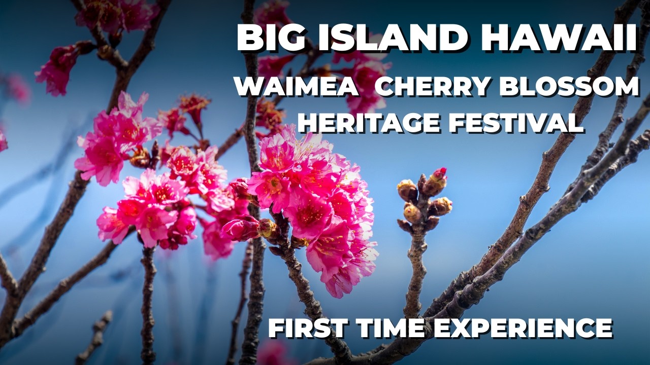 I Took a Chance on This Small-Town Festival in Waimea - Big Island Hawaii