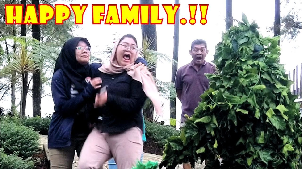 Super trap..!! Funny Bushman prank