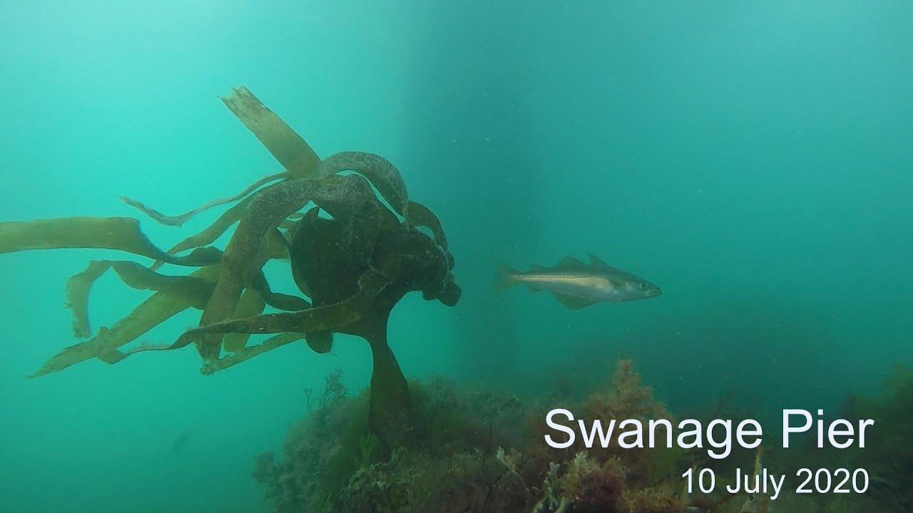 The pier, Swanage!