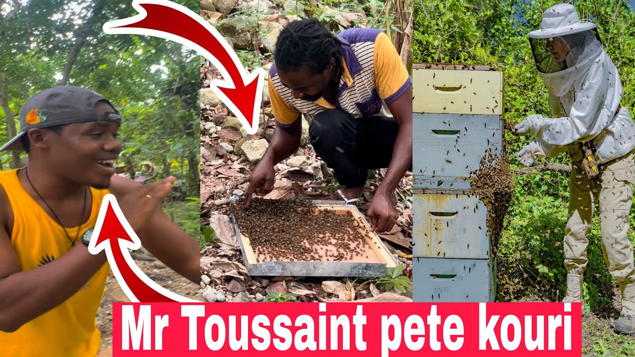 Yo fè Mr Toussaint kouri ak yon esen mièl wap sezi wè sa