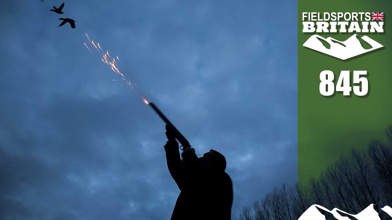 Fieldsports Britain – Duck flighting with a world champion