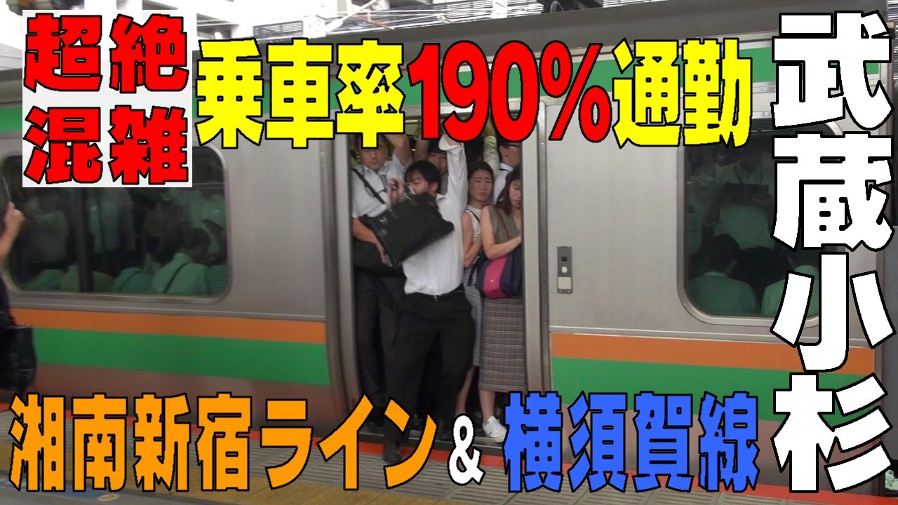 通勤ラッシュ　乗車率180％越え！ 横須賀線＆湘南新宿ライン【武蔵小杉駅】神奈川県川崎市
