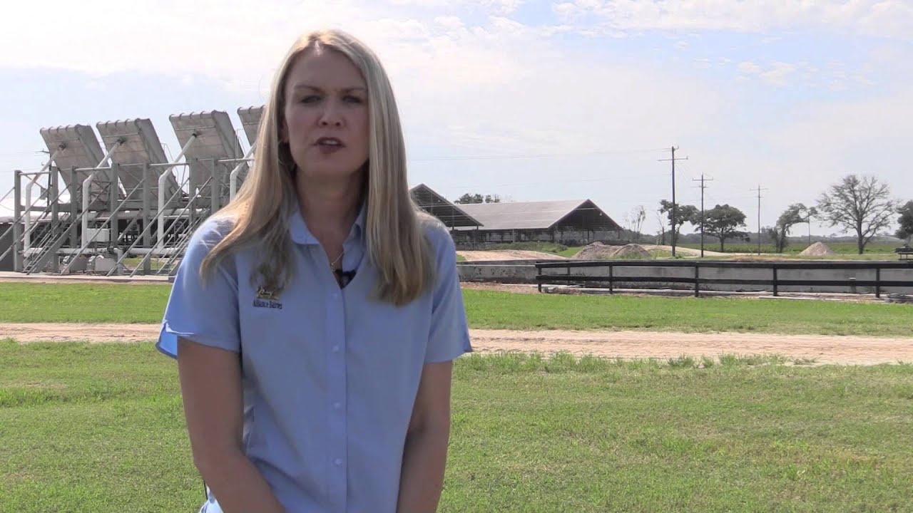 The St. John Family: Alliance Dairies